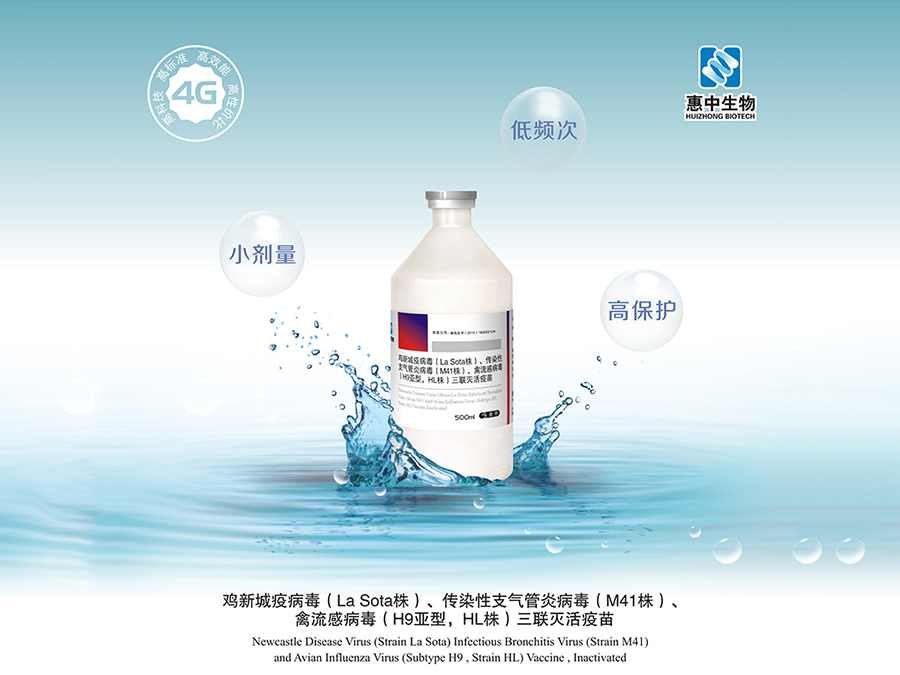 洛陽惠中生物技術(shù)有限公司